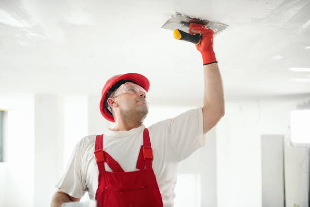 Trusted Waipahu, HI Dry wall and painting Experts